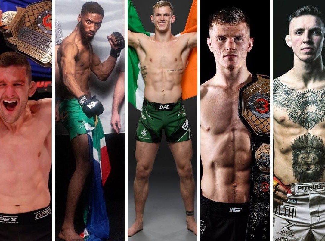 Who are the top Irish UFC fighters to watch now?