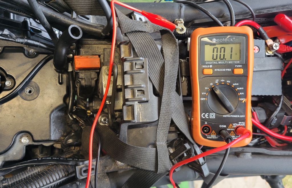 Looking for common issues with the Tiger 800? Here is what experienced mechanics say you should watch out for.