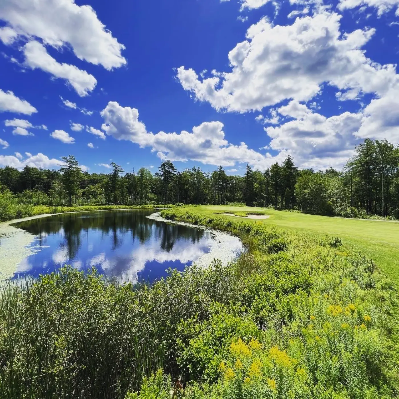 Old Marsh Maine: Top Activities & Local Events