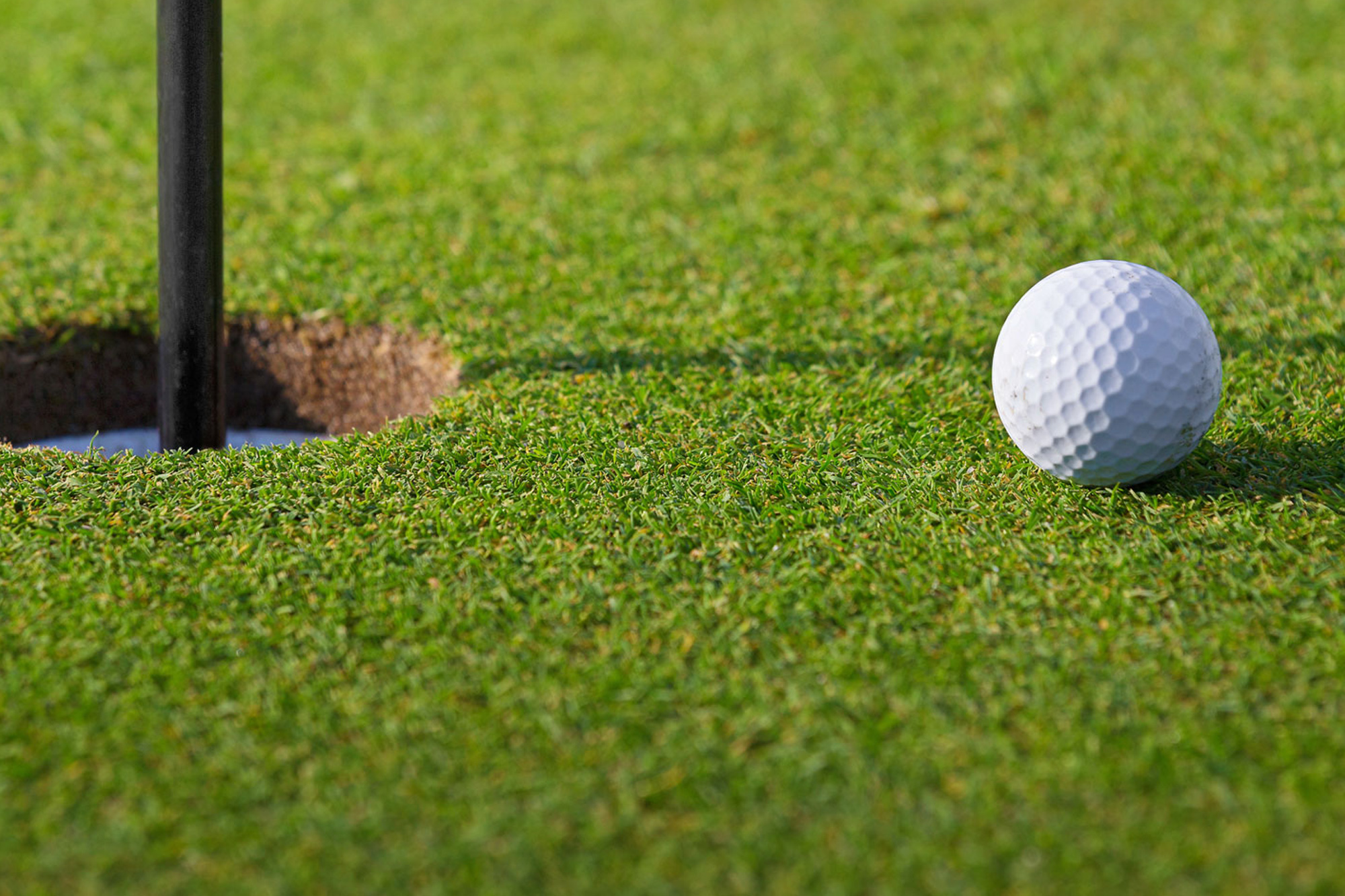 Has the stavanger golf club pooper been caught yet? Following the search for the person responsible for the mess.