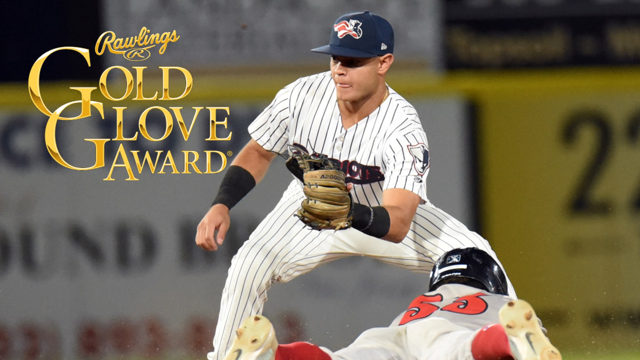 What professional work does Jesus Bastidas do? Explore his career, expertise, and major achievements easily.