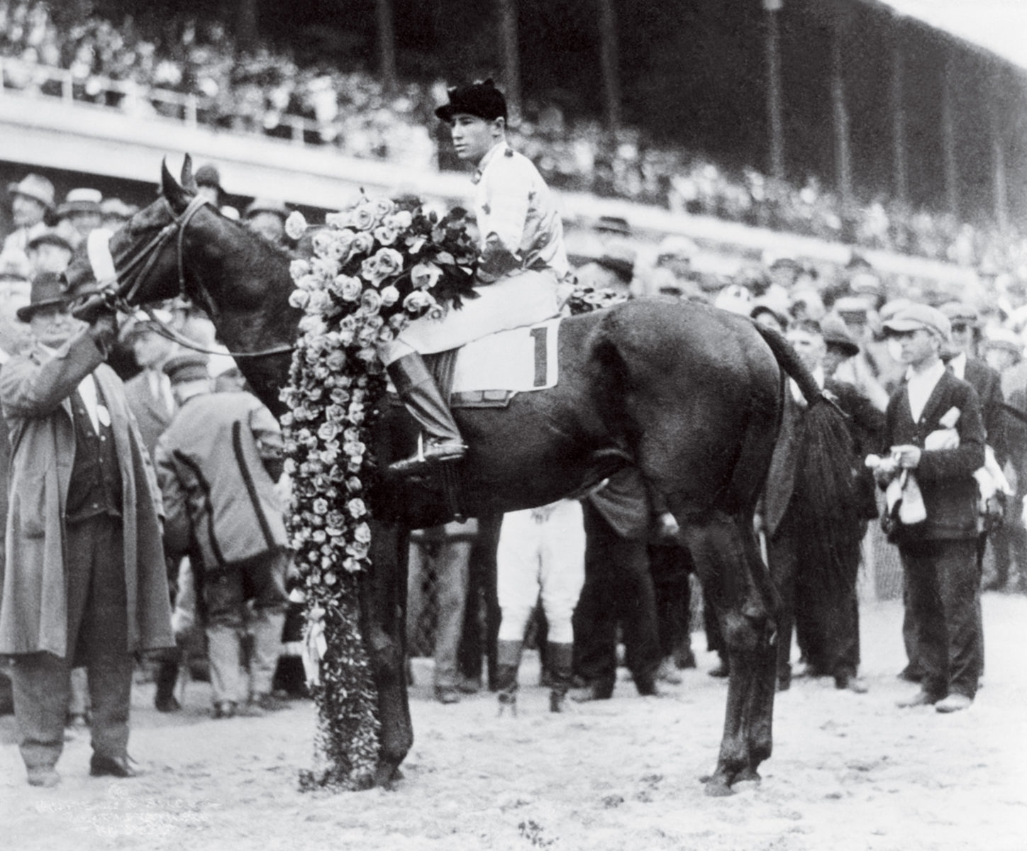 How much does a black gold race horse usually cost to buy?