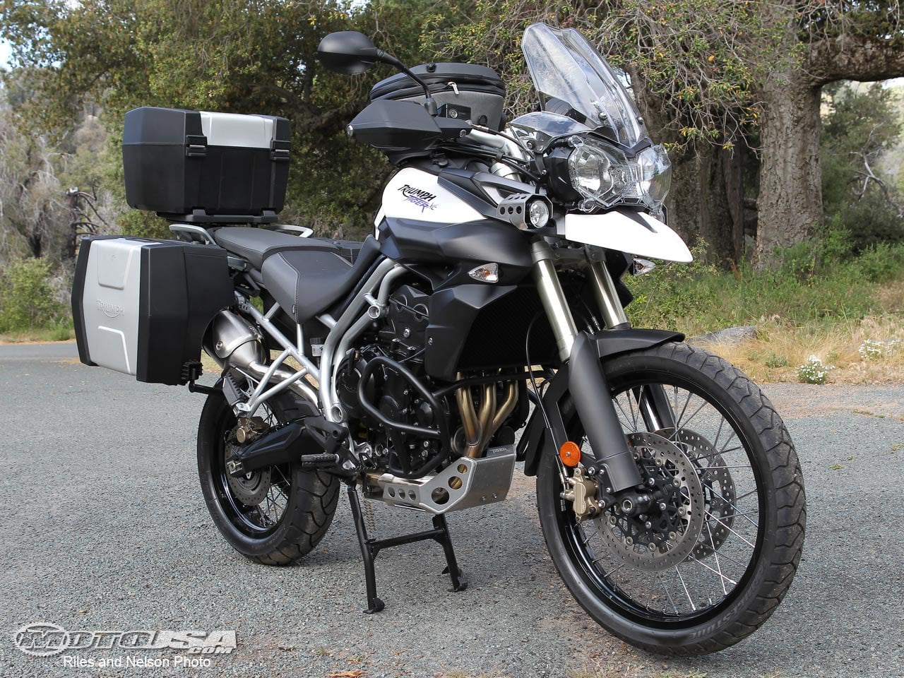 Looking for common issues with the Tiger 800? Here is what experienced mechanics say you should watch out for.