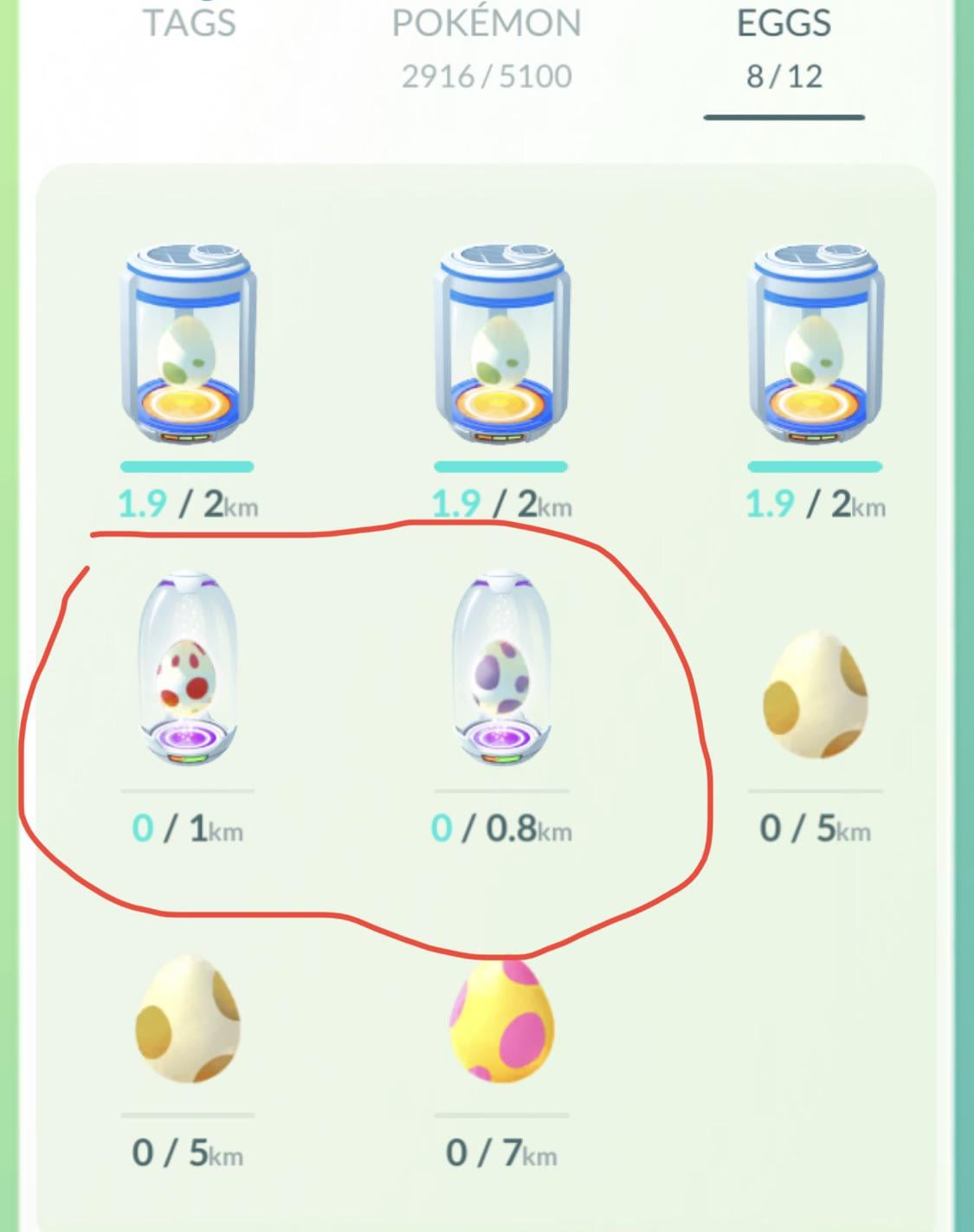 Whats the best egg hatching widget in Pokemon GO?