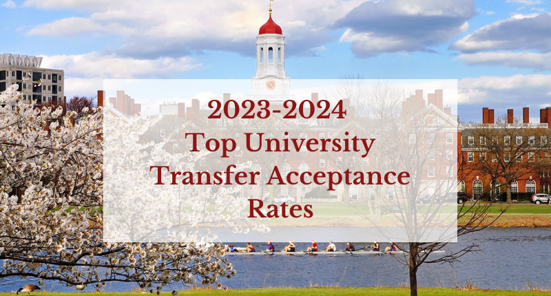 Understanding the UTD Transfer Acceptance Rate for 2024
