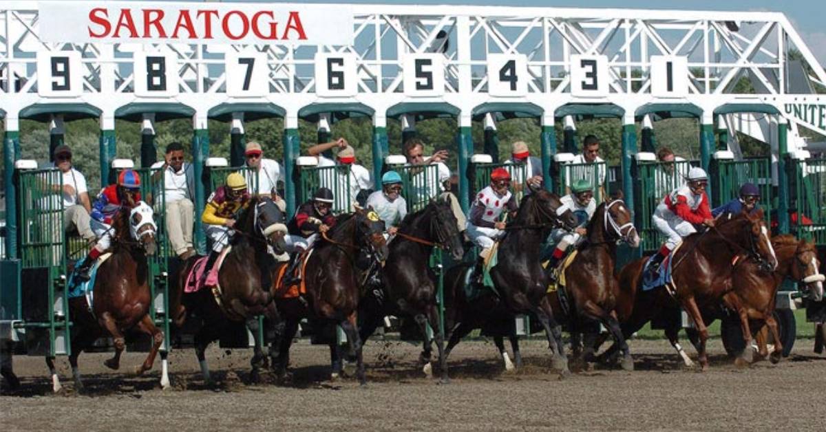 Saratoga Race Track Activities: More Than Just Horse Racing
