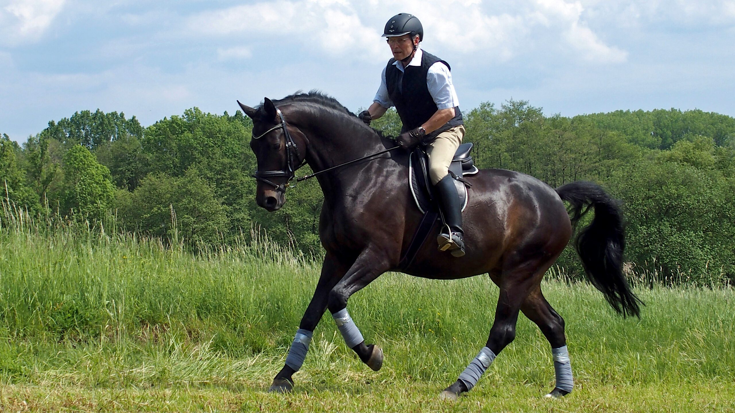 Improve riding with horse personalities knowledge! (Simple ways to understand your horse and ride much better together)