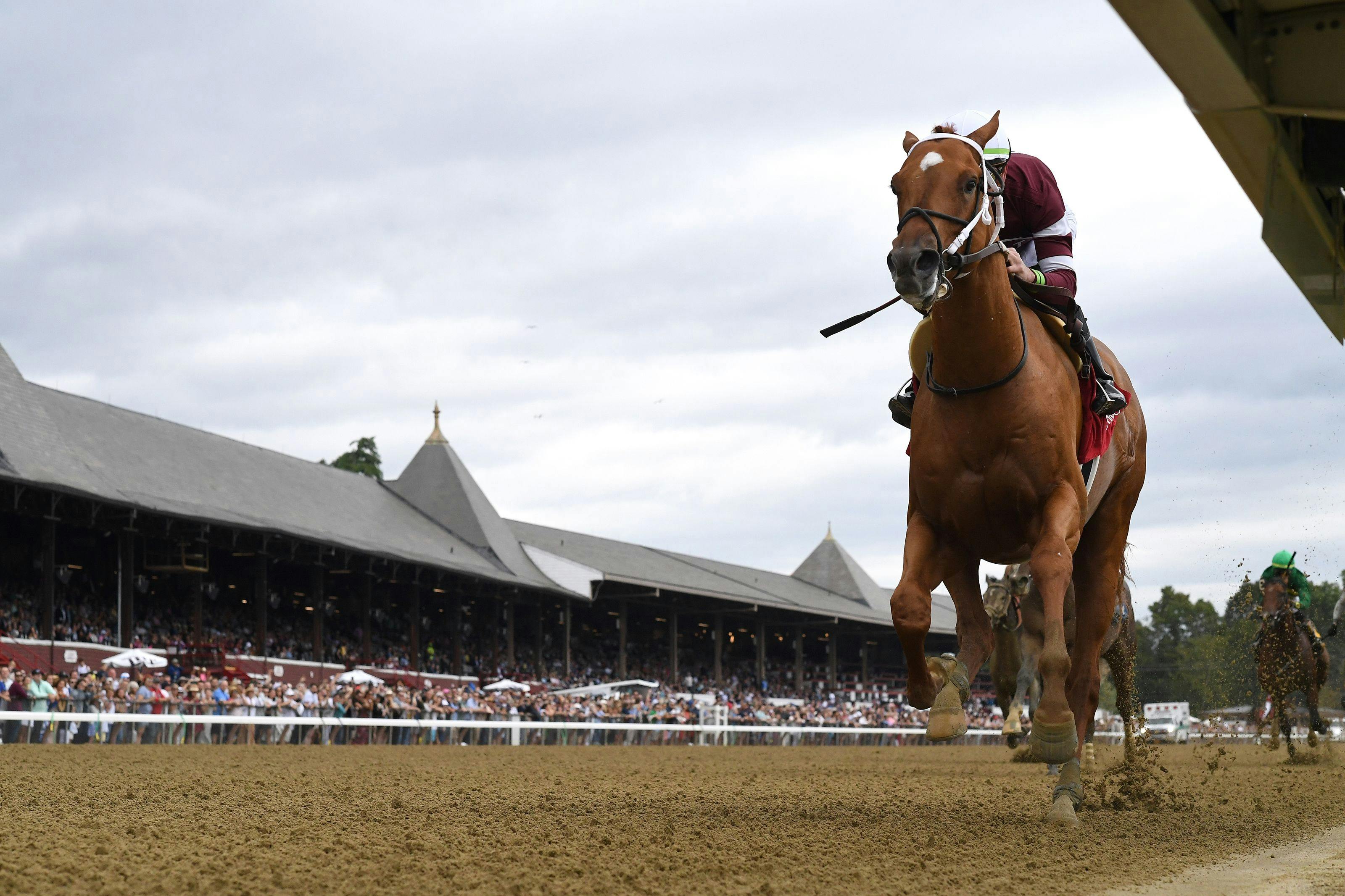 Where can I get horse picks Saratoga? Here are some top ways to find your bets.
