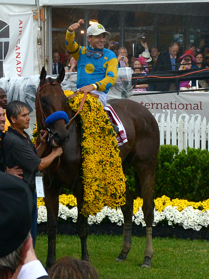 How did owner American Pharoah succeed? (Learn the key things that made this horse owner a winner!)