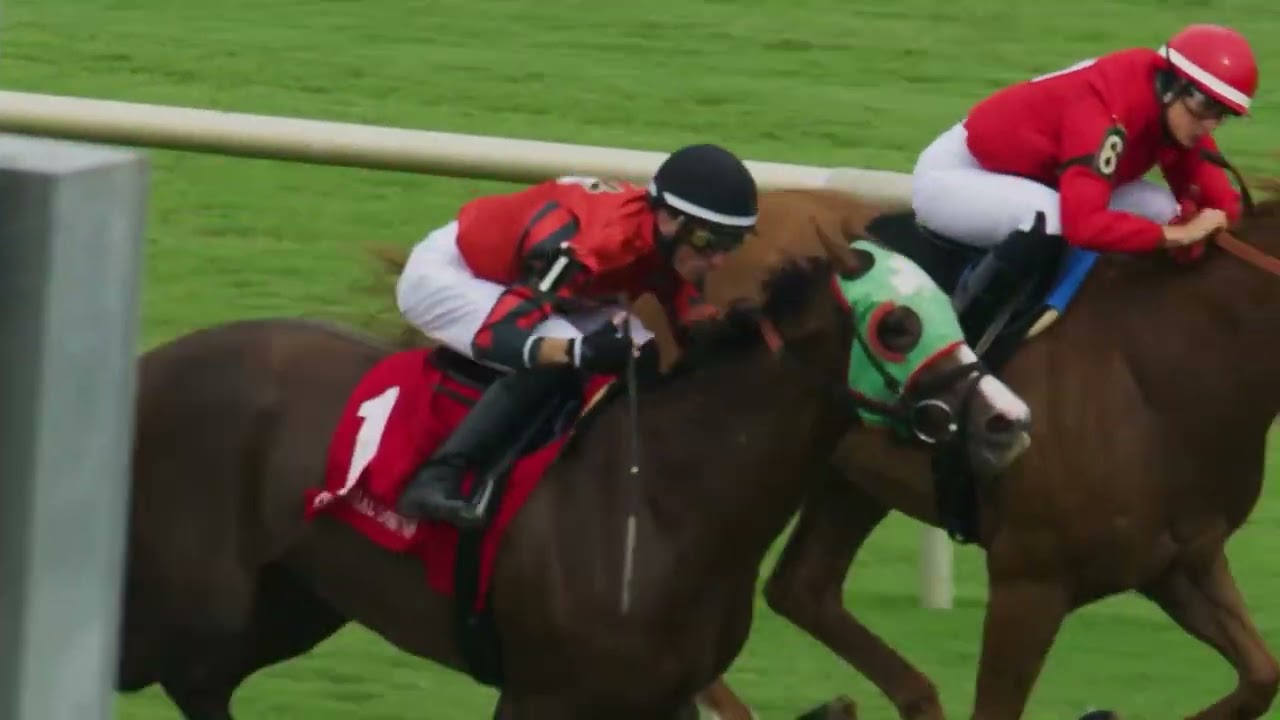 Colonial Downs live racing is super exciting! Plan your trip now for an unforgettable day at the races.