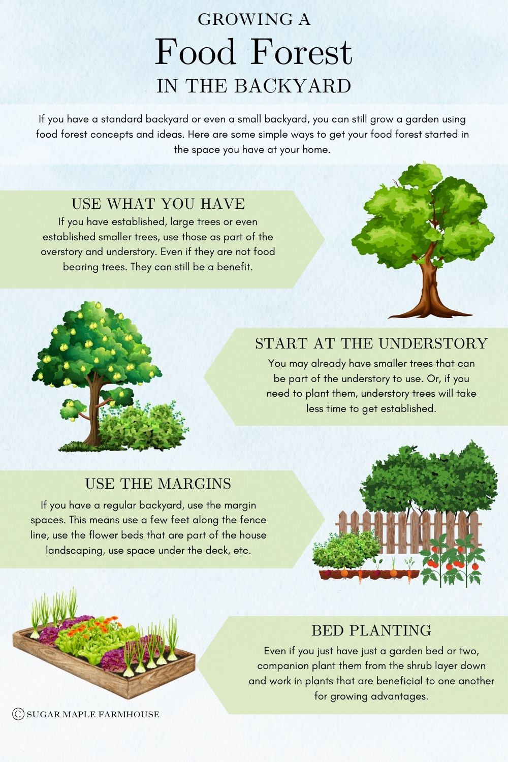 How to choose a good sugar maple farm to visit? Easy tips here to pick the best sugar maple farm for your family!