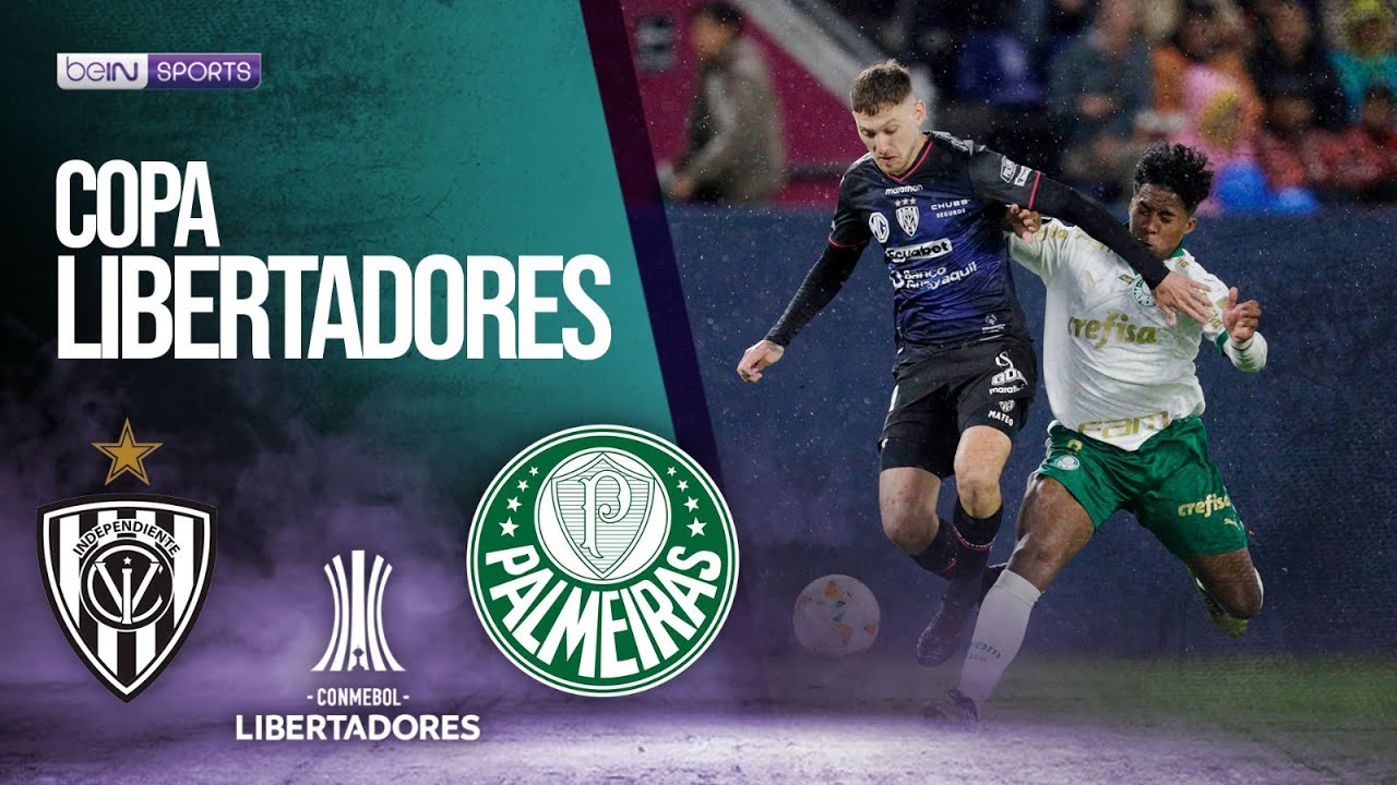 Want independiente del valle vs palmeiras highlights? Watch all the key plays and goals from the match now!