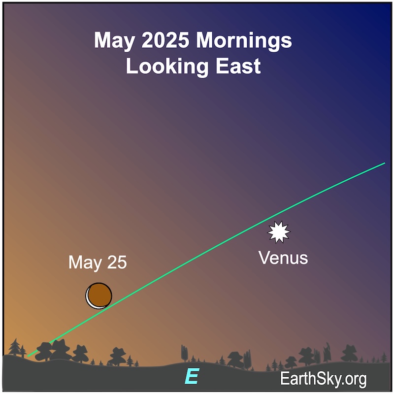 Looking back: feb 8 2020 (How this single Saturday impacted the weeks that followed!)
