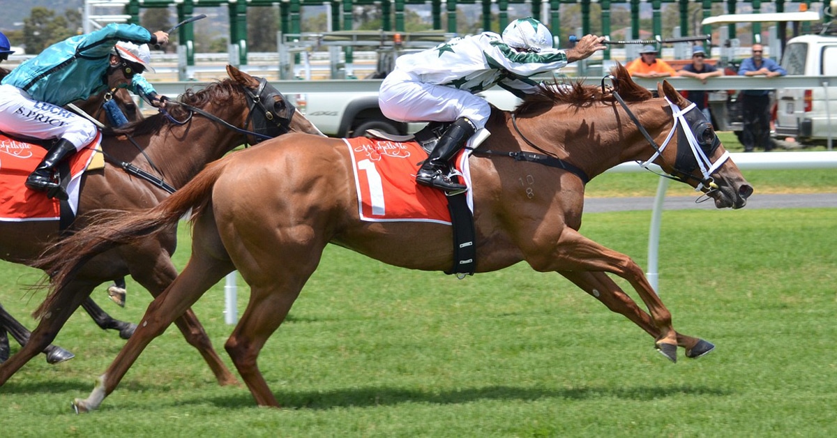Curious about horse jockey height requirements? Get the simple facts and what most tracks look for.