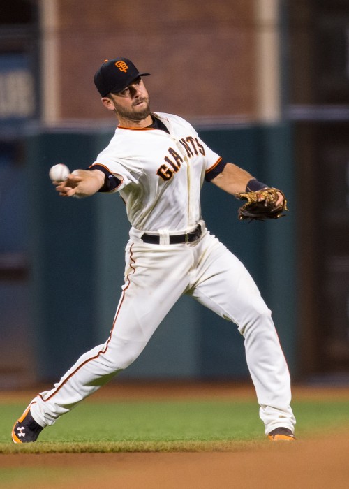Brandon Hicks baseball journey: Which teams did he play for? See his complete baseball career path.