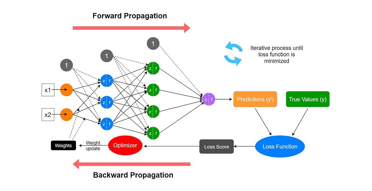How does the first forward pass actually work in neural nets? A simple explanation for everyone learning AI.