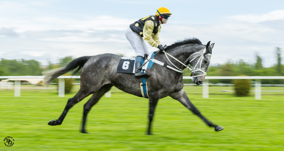 Exactly how much does a jockey weigh? Uncover the facts about jockey weight requirements in horse racing.