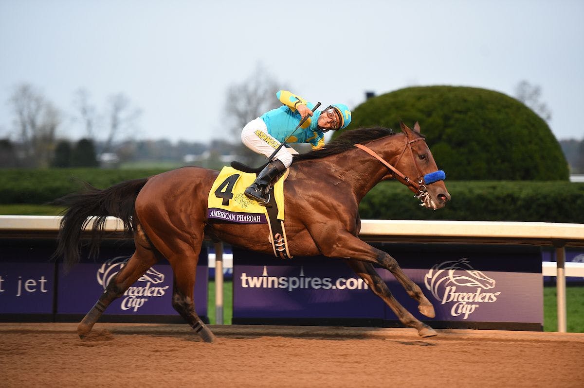 How did owner American Pharoah succeed? (Learn the key things that made this horse owner a winner!)