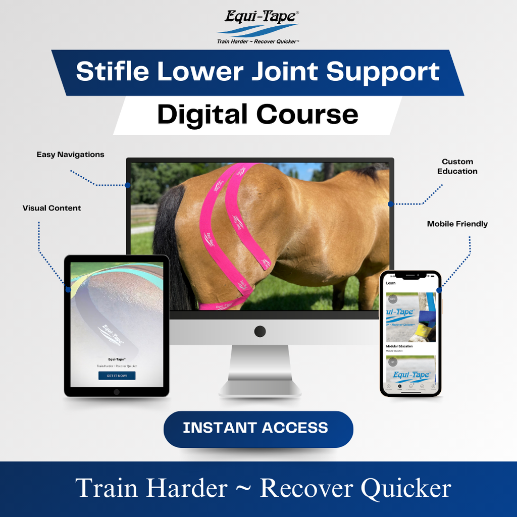 How can you help with stifle issues in horses? Discover effective treatments and simple home care tips.