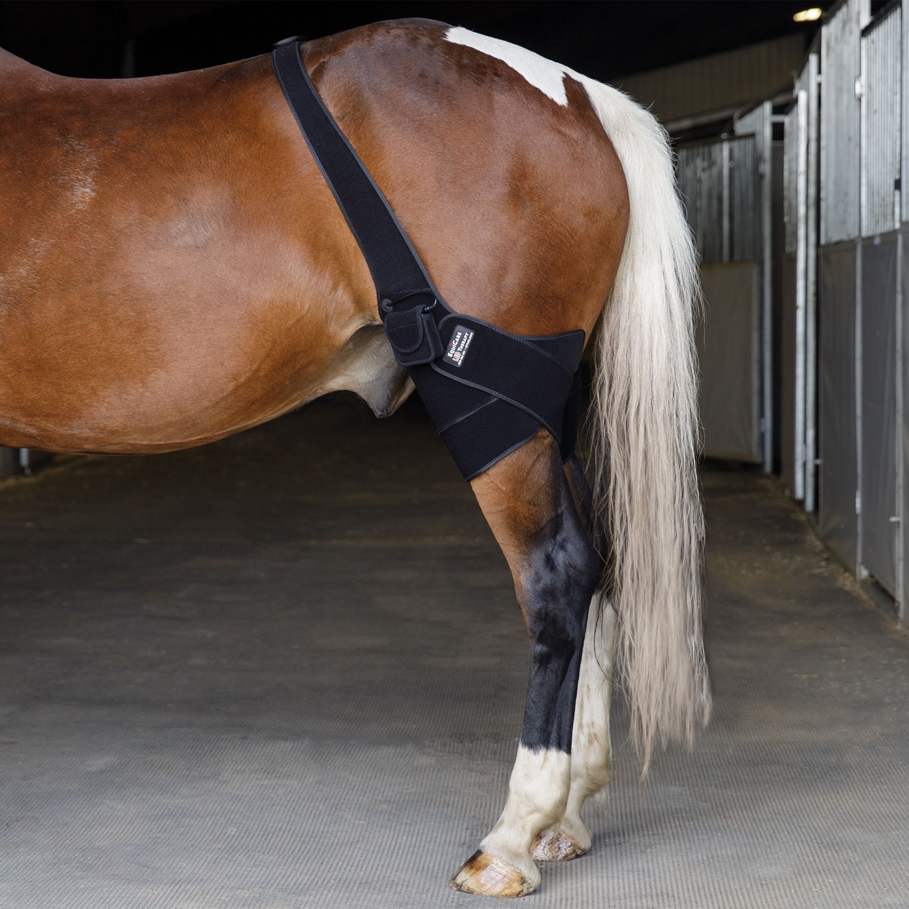 How can you help with stifle issues in horses? Discover effective treatments and simple home care tips.