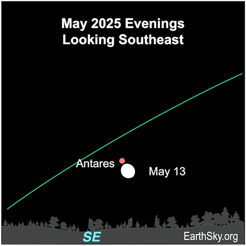 Looking back: feb 8 2020 (How this single Saturday impacted the weeks that followed!)