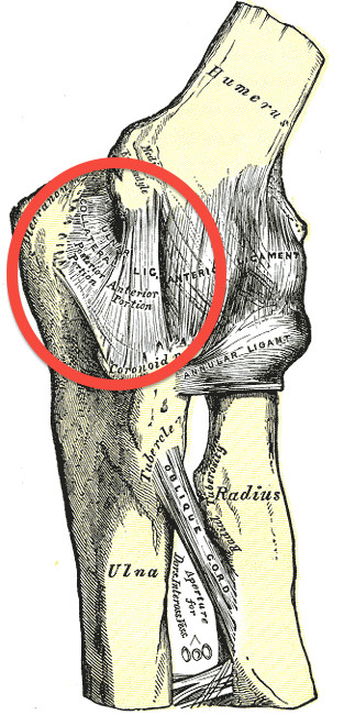 Jarrod Parkers Tommy John struggles: Understanding the impact of injuries on his career.