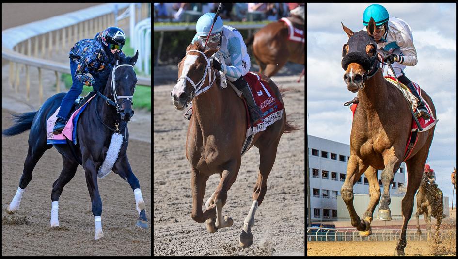 Oaks post time 2024: All you need to know! Get ready for the race day excitement.