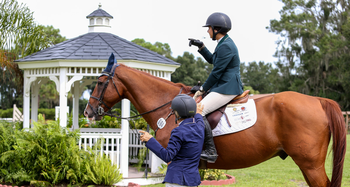 Improve riding with horse personalities knowledge! (Simple ways to understand your horse and ride much better together)