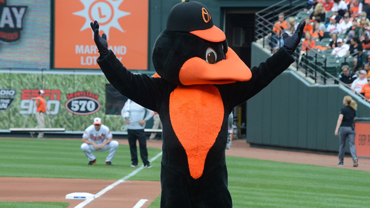When and where is the orioles caravan? Get all the details on upcoming tour stops.