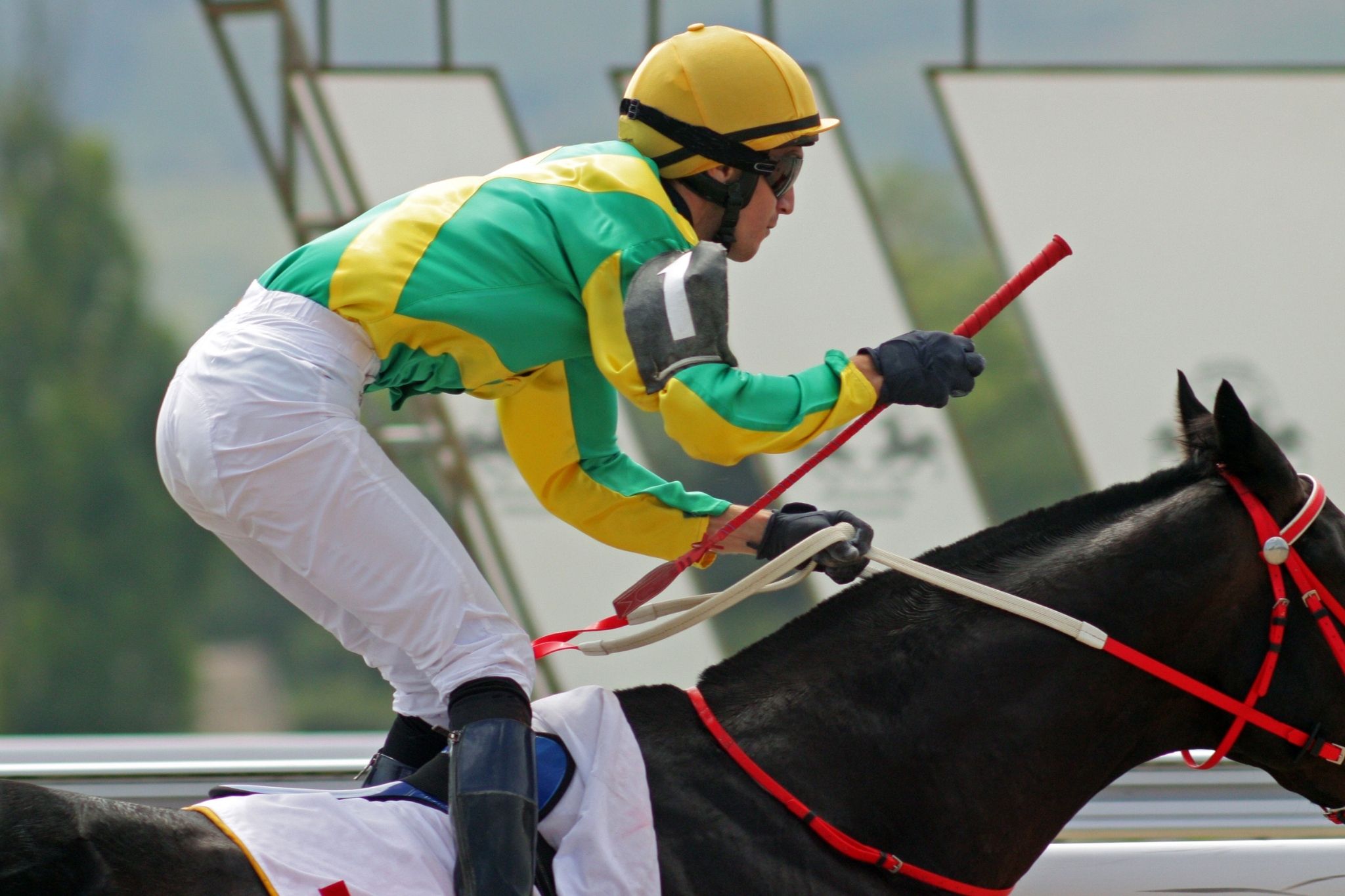 Curious about horse jockey height requirements? Get the simple facts and what most tracks look for.