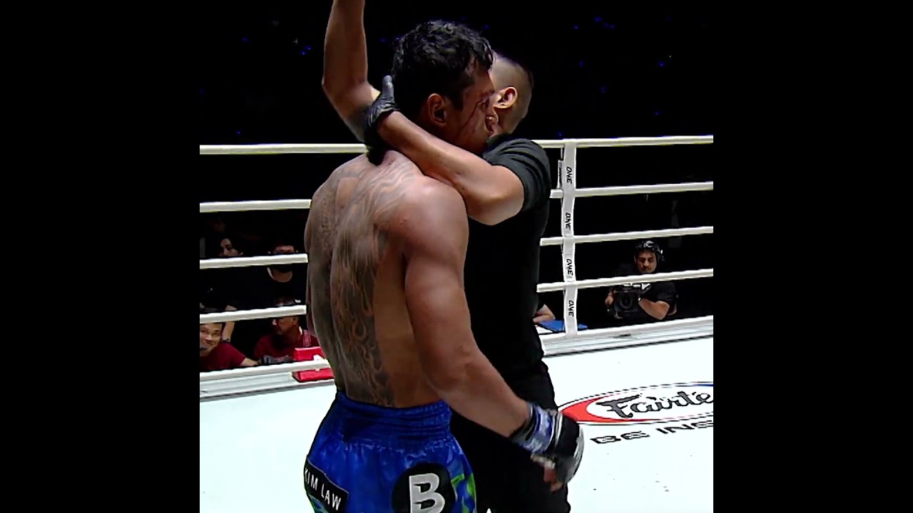 Fight highlights from last night: Want the craziest clips? Watch these must see KOs and finishes.