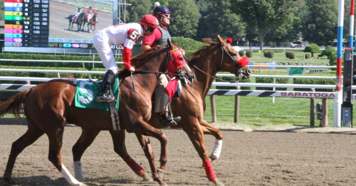 Where can I get horse picks Saratoga? Here are some top ways to find your bets.