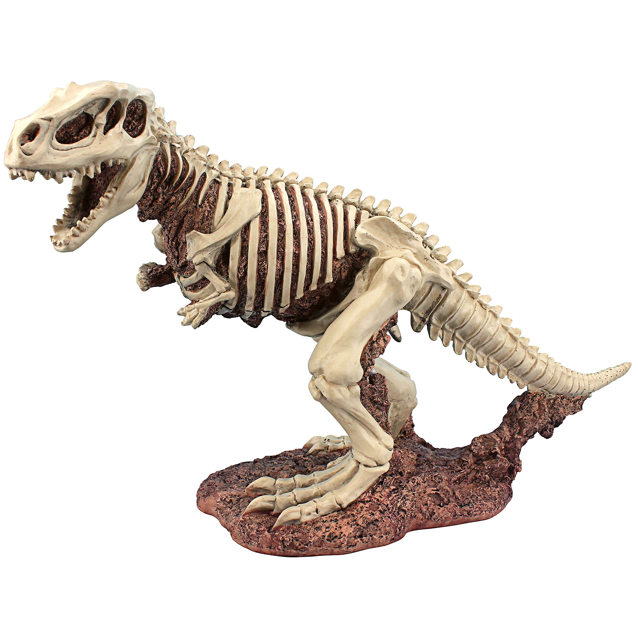 Looking for a 2010 t-rex for sale? Find out where the best deals are hiding right now.