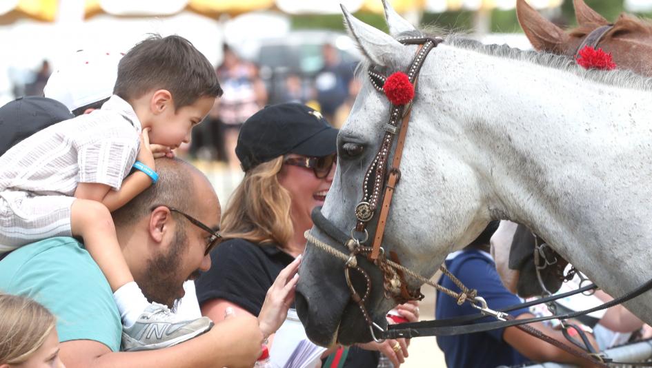 Colonial Downs live racing is super exciting! Plan your trip now for an unforgettable day at the races.