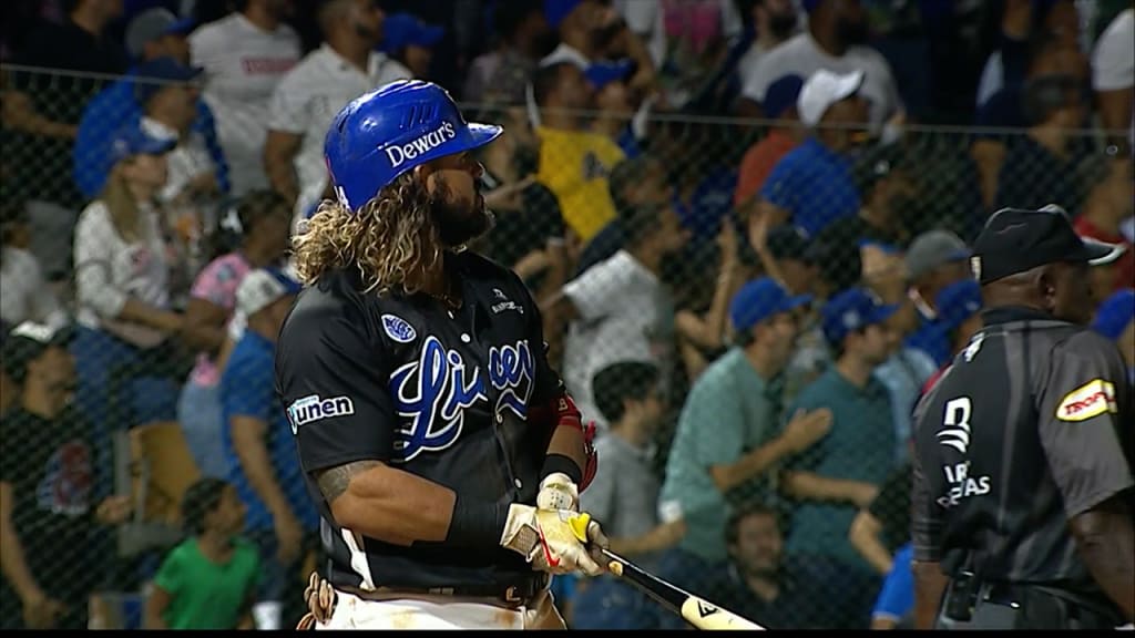 How to find Dominican Winter League scores? Here are easy ways to get all game results.