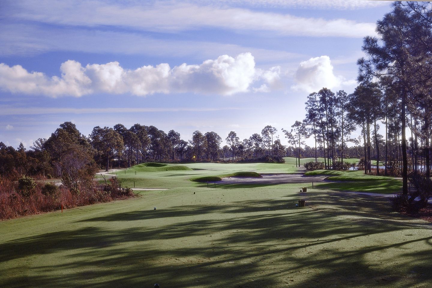 Why are they champions of summerfield golf course (understand their winning strategies and skills).