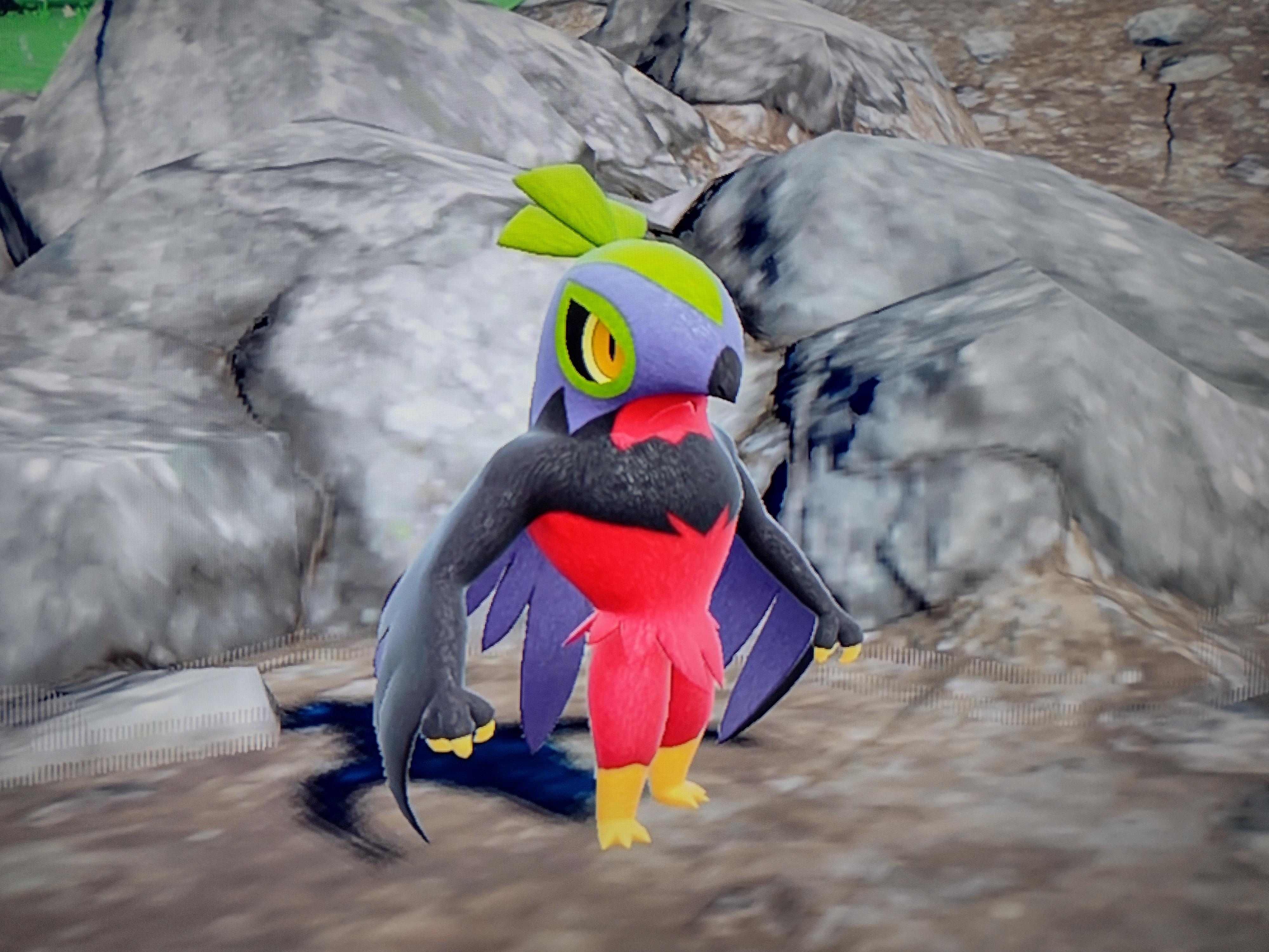 Why does everyone want shiny hawlucha pokemon go? Discover the reasons this Pokemon is so cool!