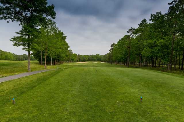 Is Blue Heron Golf NJ Worth Playing? Find Out Real Player Reviews!