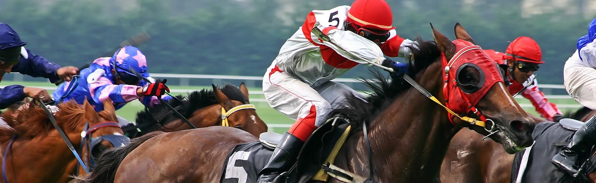 What is historical horse racing really? Understand this fun and easy way to bet on past races.