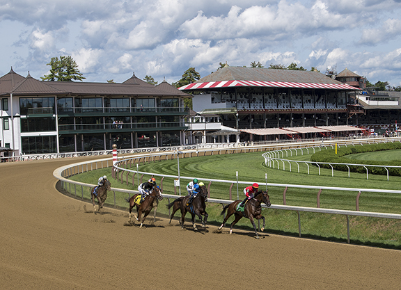 Curious about attendance? What is the Saratoga Race Track capacity? We explain the Saratoga Race Track capacity for fans.