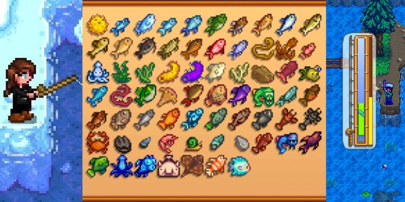 Why try summer rain fishing Stardew? Its your best chance for rare fish and profit.