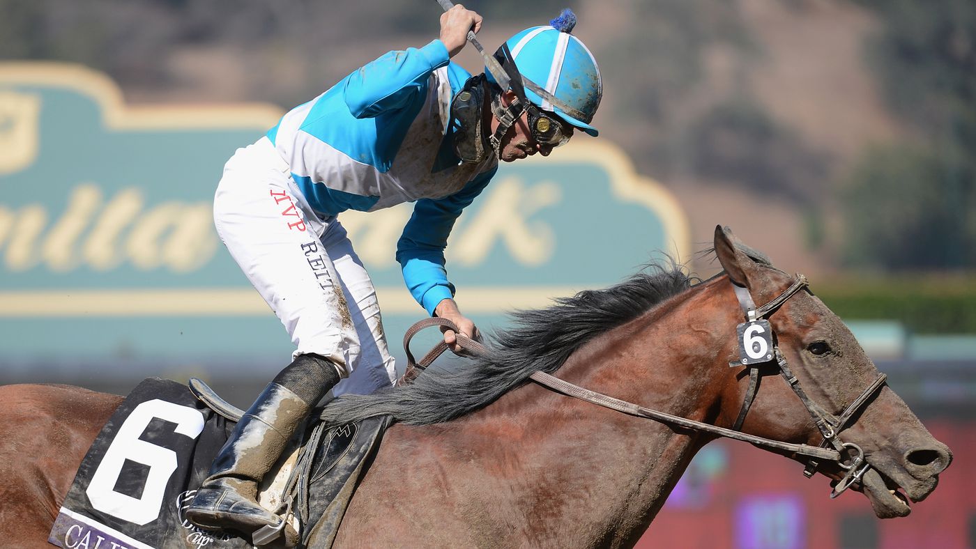 where to get caleidoscopio horse best places to buy today