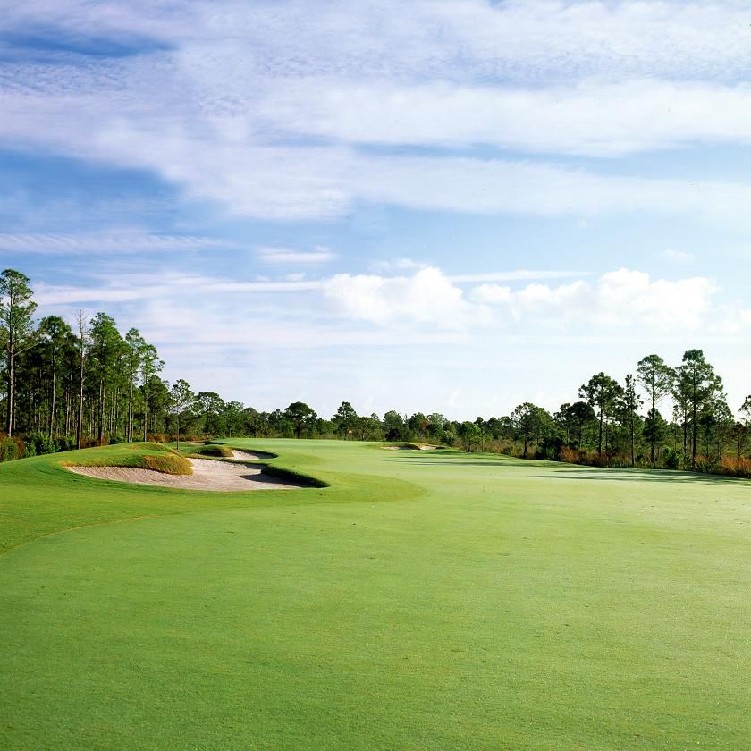 Why are they champions of summerfield golf course (understand their winning strategies and skills).