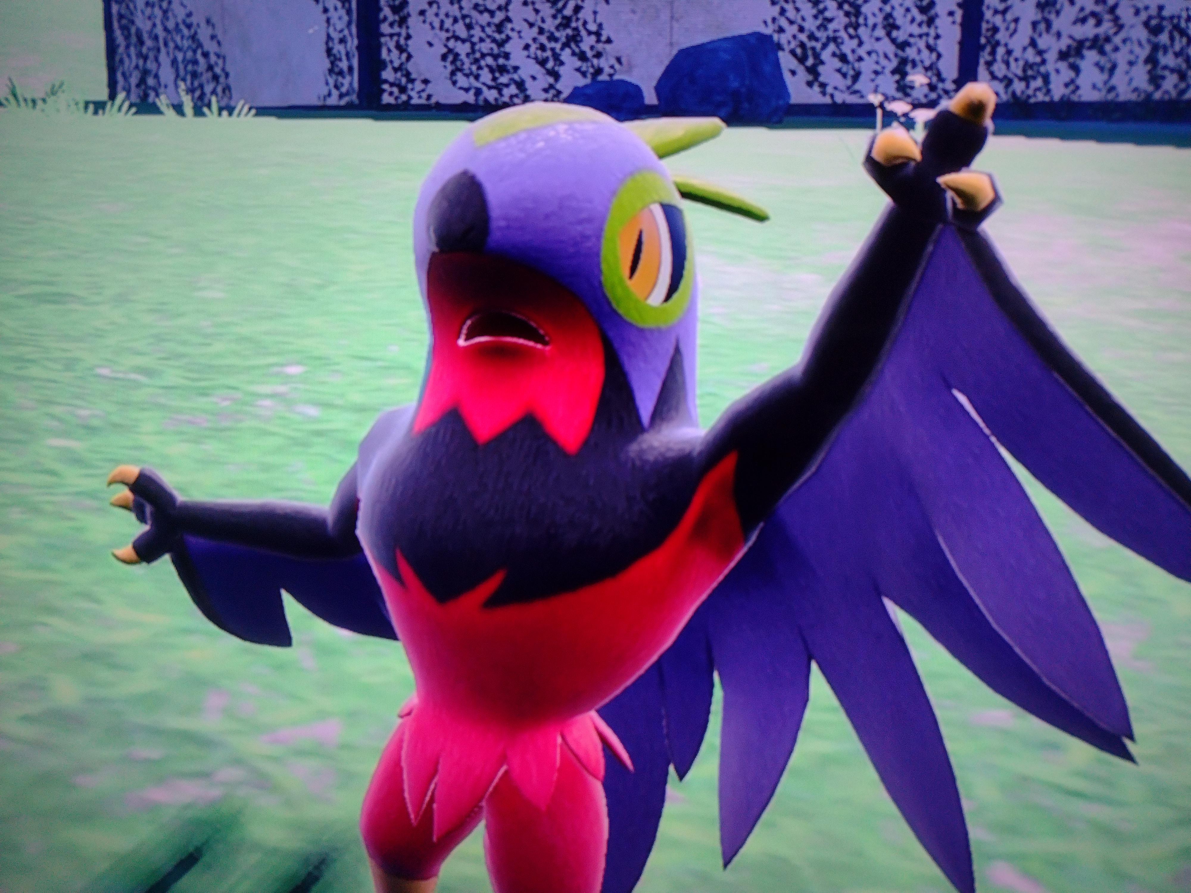 Why does everyone want shiny hawlucha pokemon go? Discover the reasons this Pokemon is so cool!