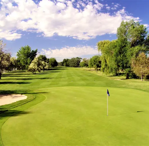 MC Riley Golf Course Vs Other Local Options Why Players Say Its Worth It
