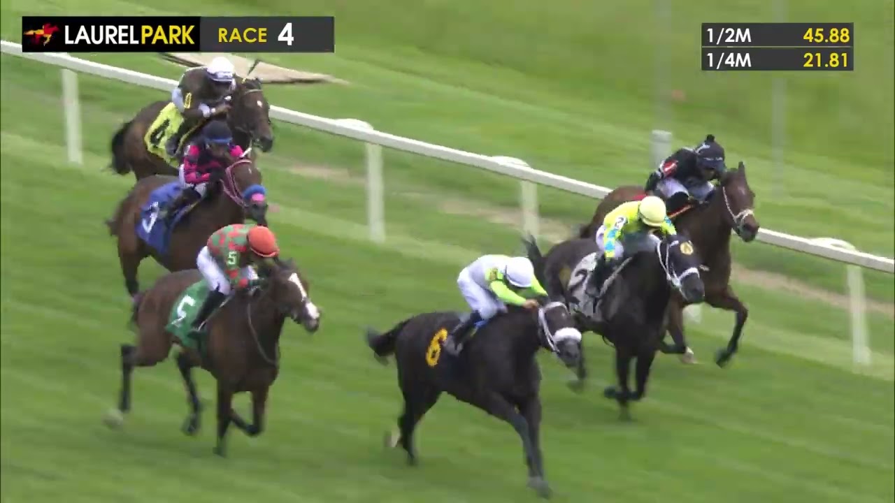 Laurel park race track replays benefits why? Improve your horse race skills!