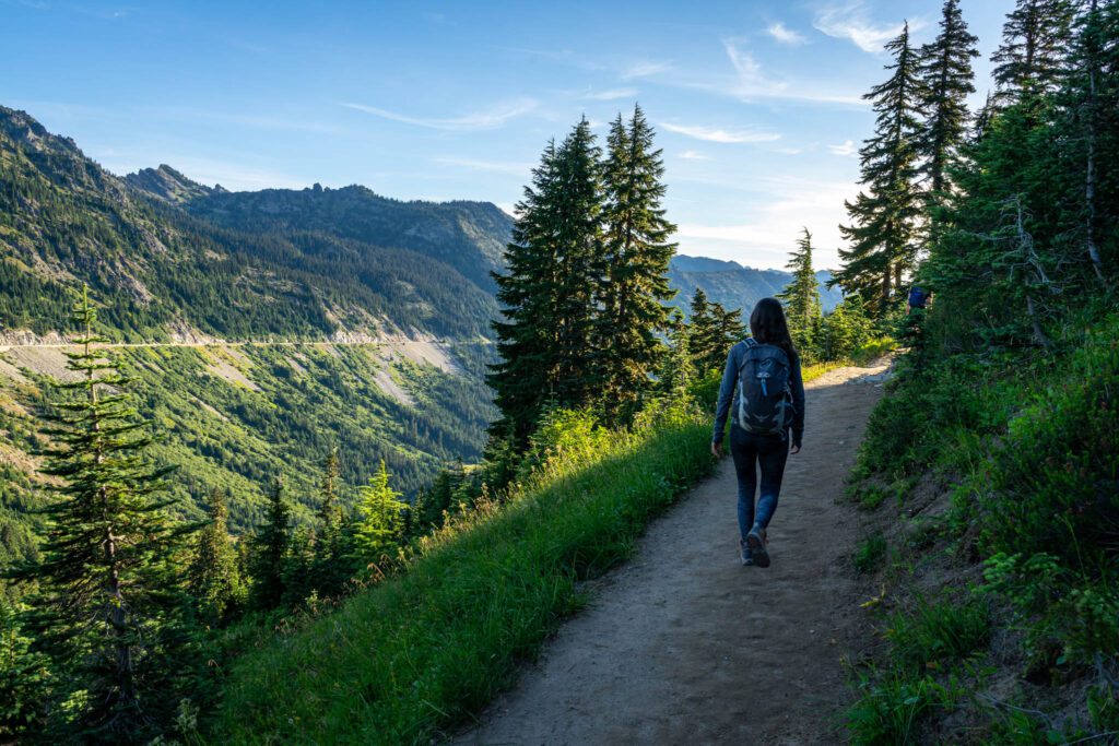 Dimmock Hill Best Hikes Where to Find Easy Walking Trails