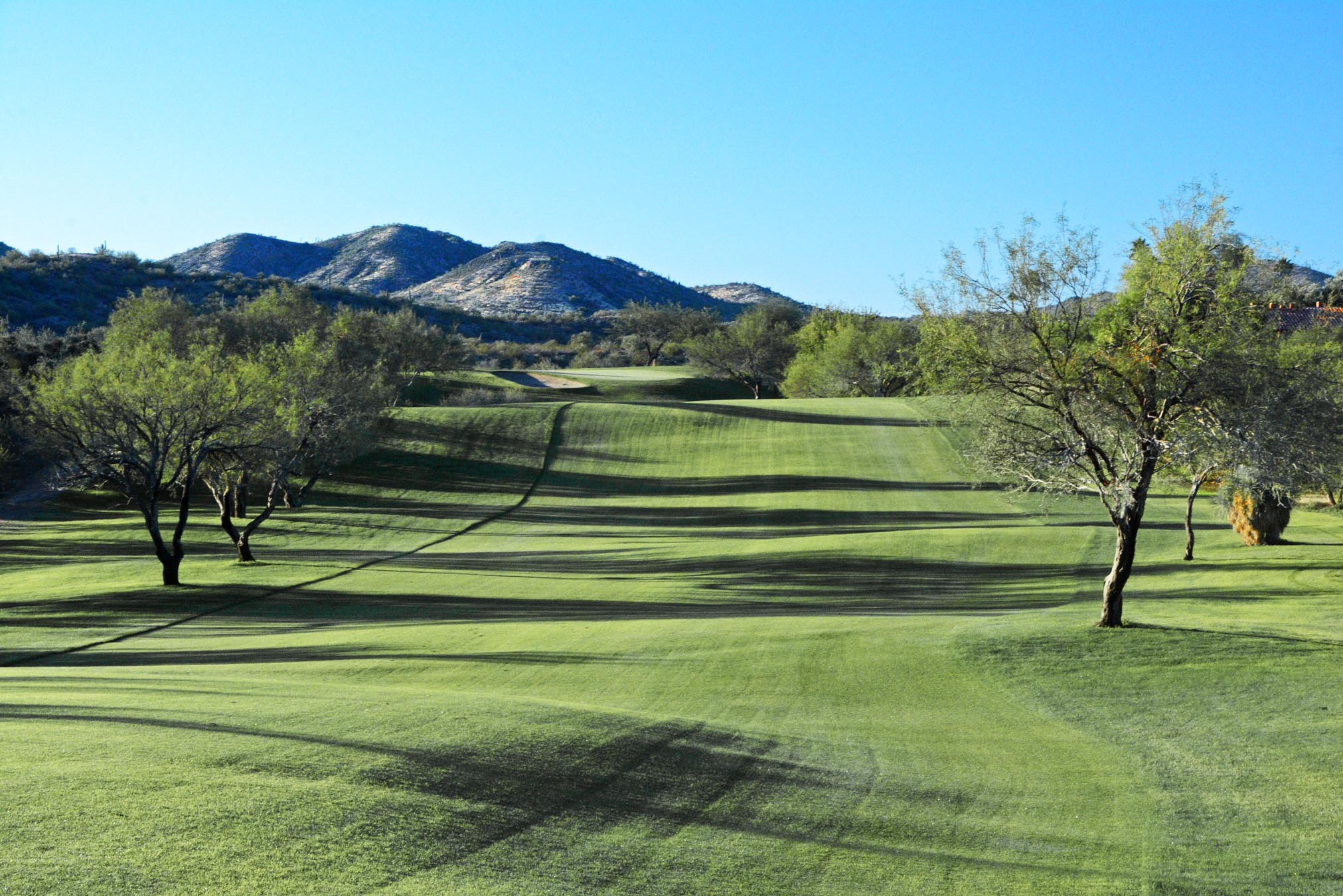 Why Play at Ranches Golf Course? Enjoy Scenic Fairways Today!