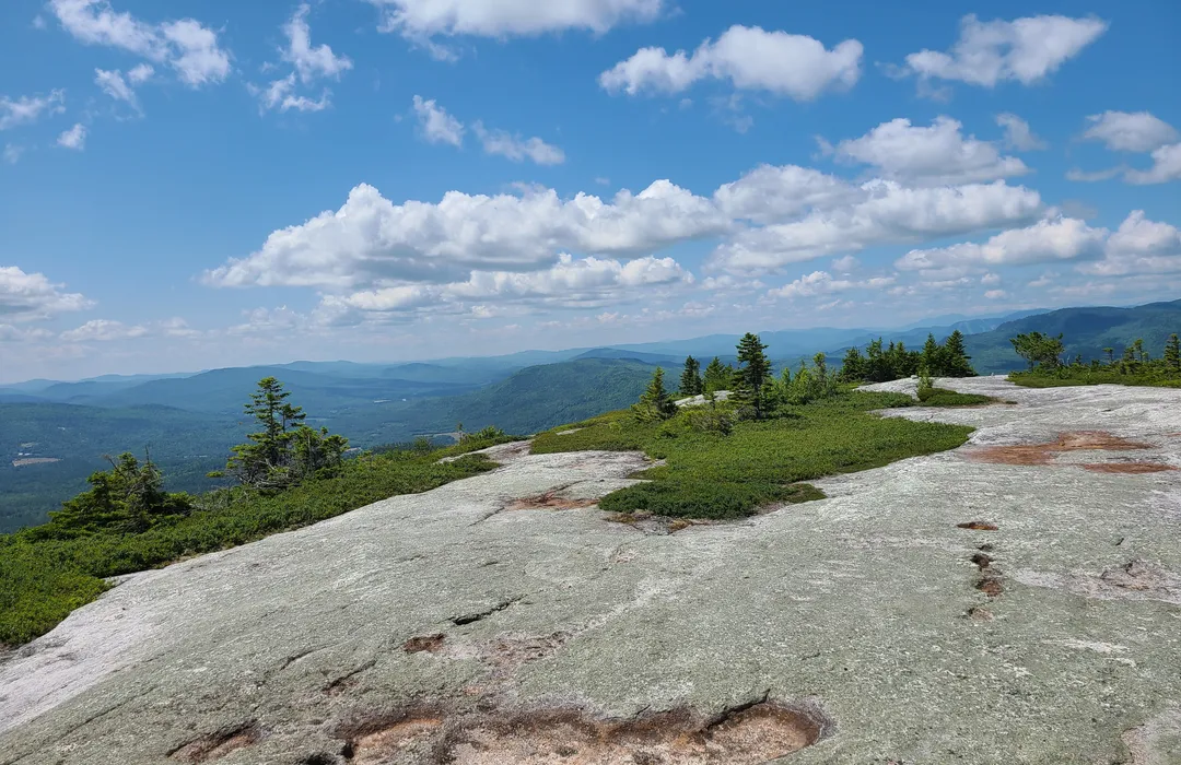 Dimmock Hill Best Hikes Where to Find Easy Walking Trails