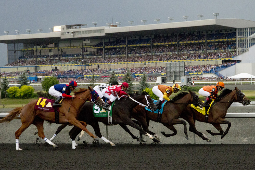 Woodbine live racing results today how to pick reliable sources for accuracy